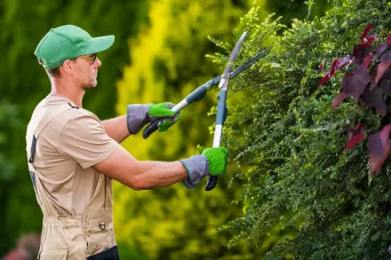 Persona podando un seto con tijeras de mango largo en un jardín, con gorro y guantes verdes.