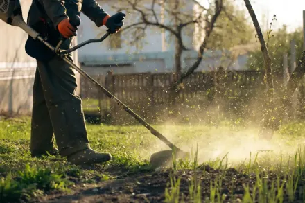 Una persona está usando una desbrozadora para cortar el césped en un jardín soleado, levantando los recortes de césped.