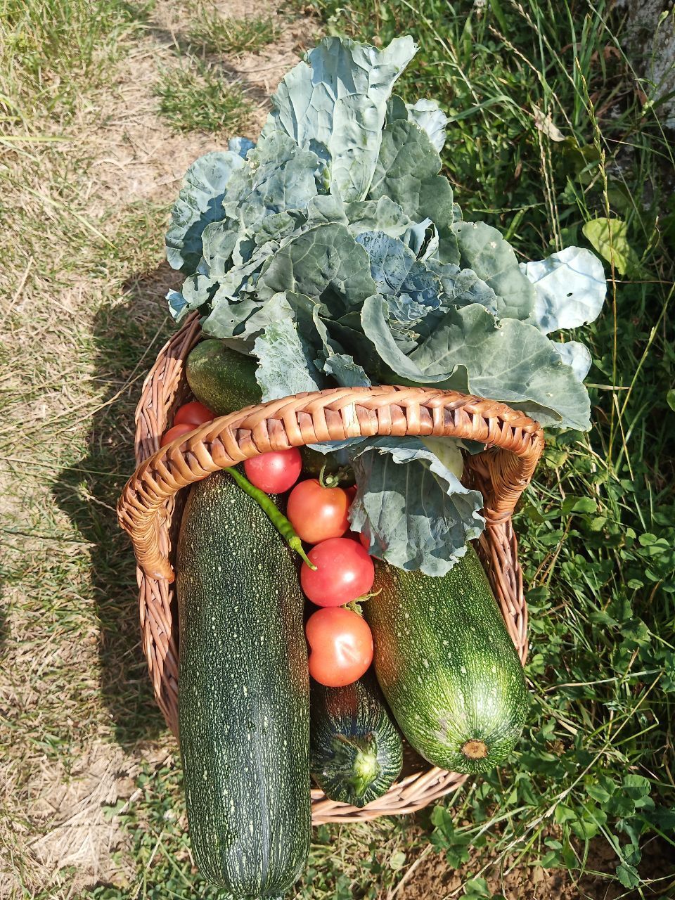 Gemüsekorb vom Ambulanten Betreuungsdienst Krämer Lesley Krämer