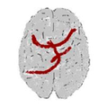 logotipo cabecera