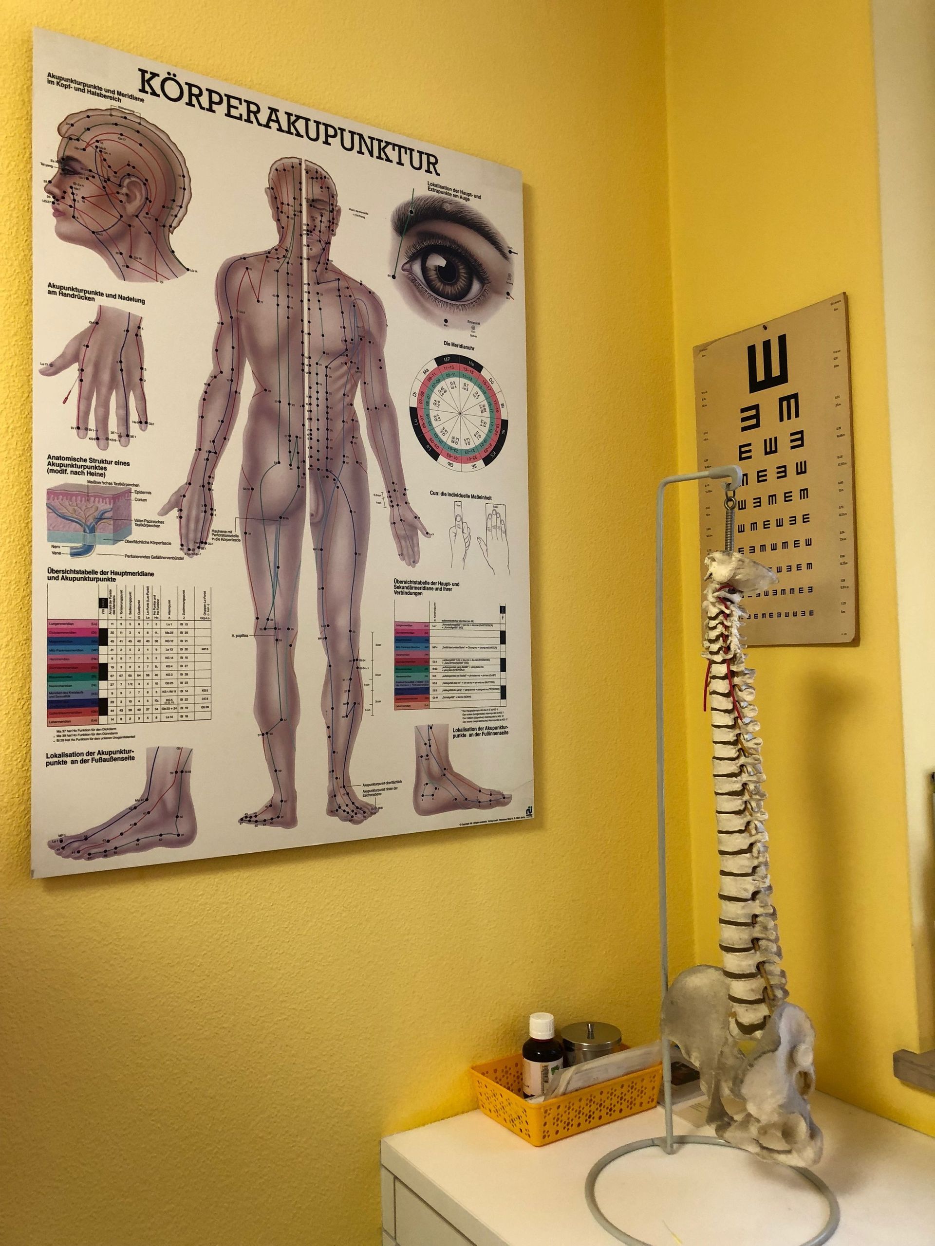 Grafik Körper - Praxis Dr. med. Jürg Karlen