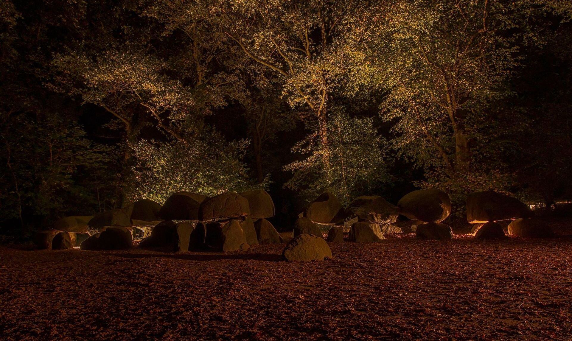 Nachtzicht van een bos met verlichte heuvels onder bomen, met een donkere achtergrond bedekt met bladeren.