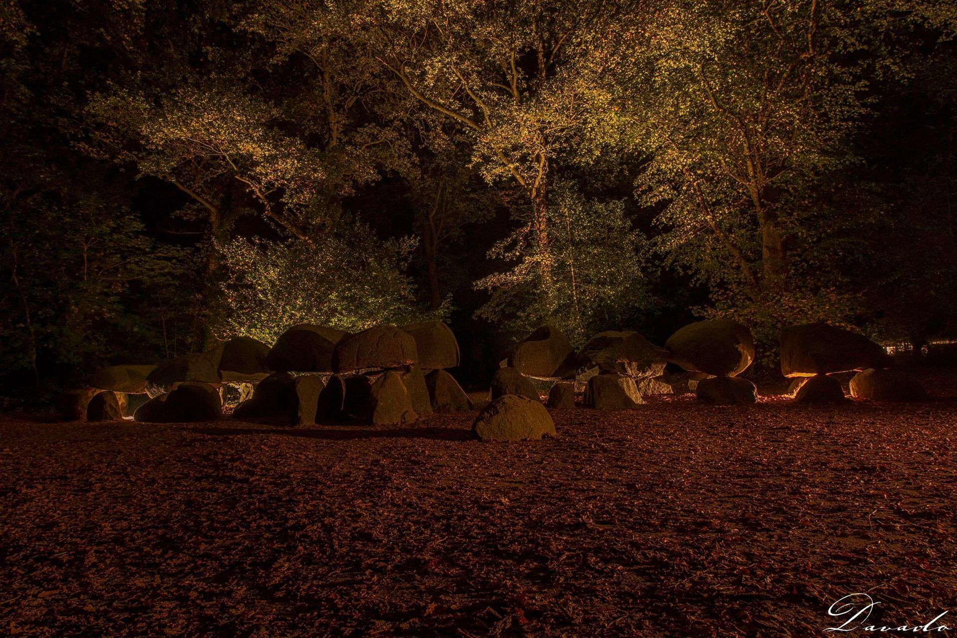 Nachtzicht van een bos met verlichte heuvels onder bomen, met een donkere achtergrond bedekt met bladeren.