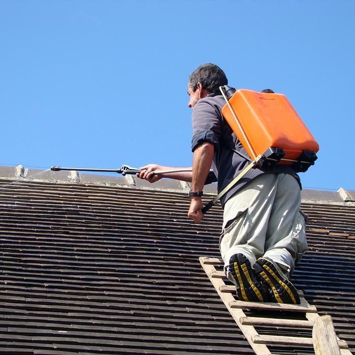 Professionnel nettoyant la toiture