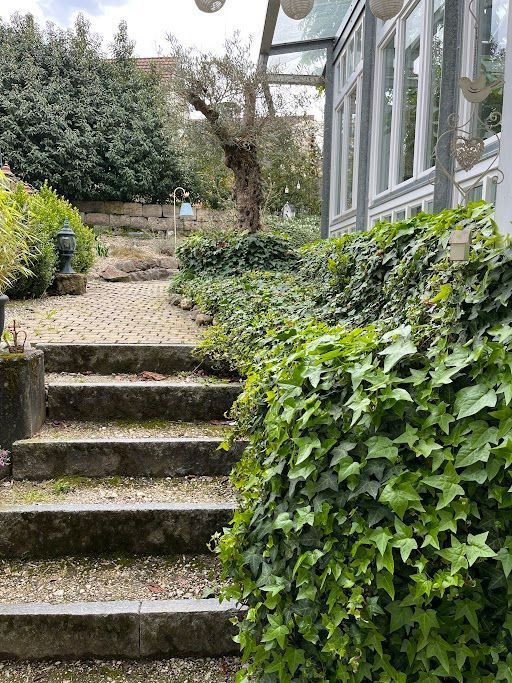 Aussenbereich/Garten - B + B Zum Schlüssel - Ehrendingen