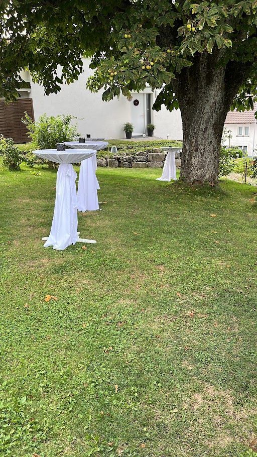 Frische Eier zum Frühstücken