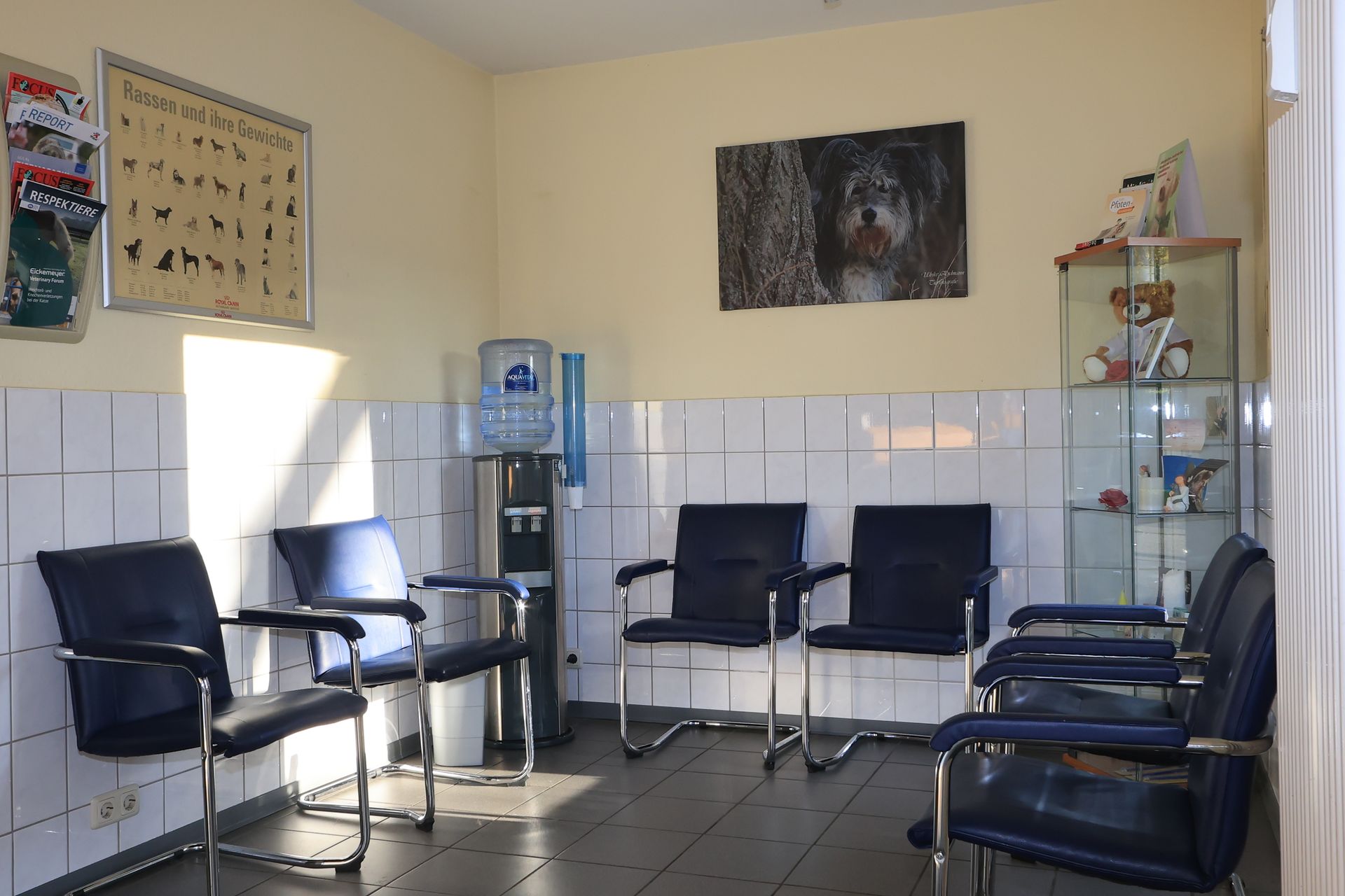 Wartezimmer der Kleintierpraxis Udo Brocker