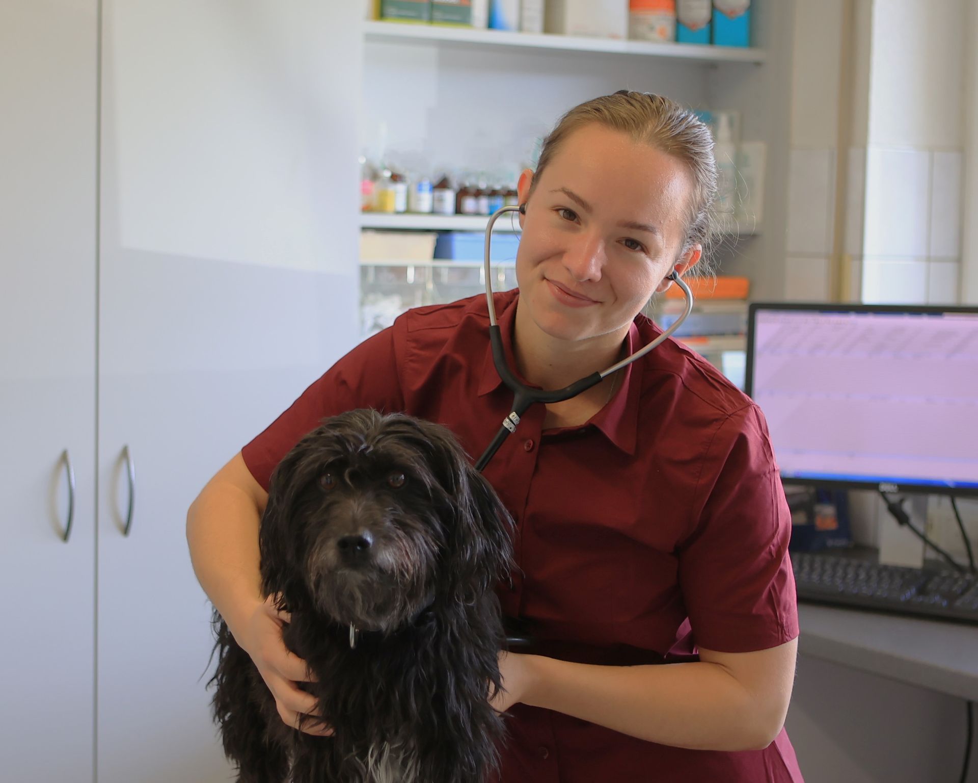 Angestellte der Udo Brocker Kleintierpraxis hört das Herz von einem Hund
