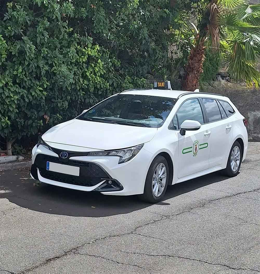 White sedan parked on a street beside dense green trees, with a company logo on the door