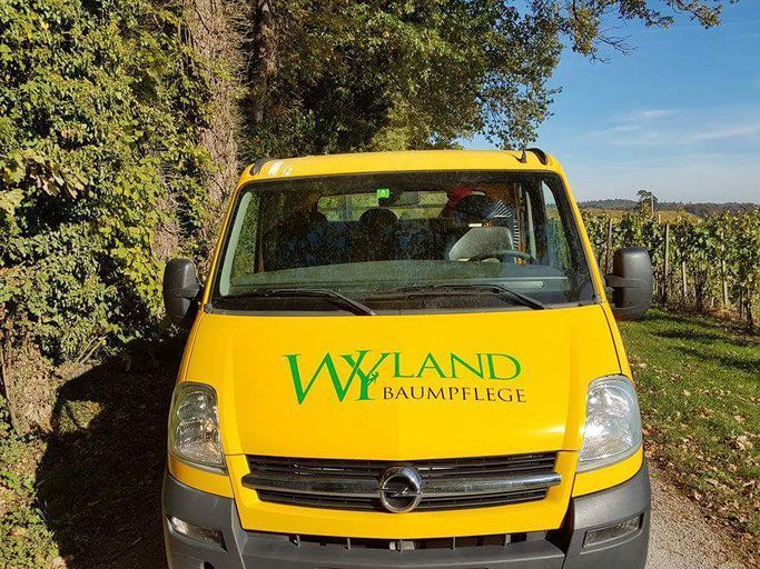 Nutzfahrzeug - Wyland Baumpflege - Winterthur