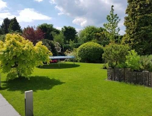 Gartenunterhalt - Wyland Baumpflege - Marthalen