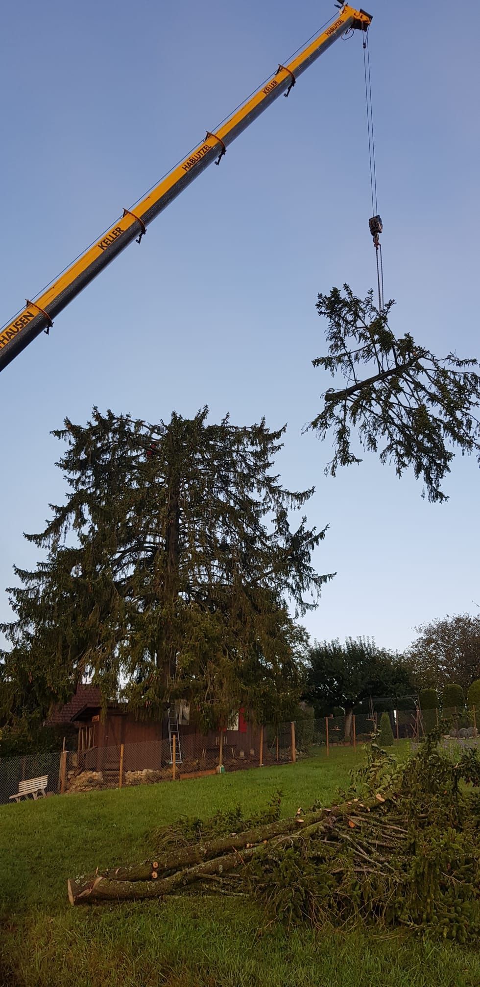 Baumfällung - Wyland Baumpflege - Marthalen