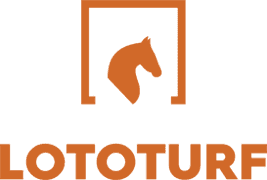 Logotipo: Silueta de cabeza de caballo naranja dentro de un cuadrado,