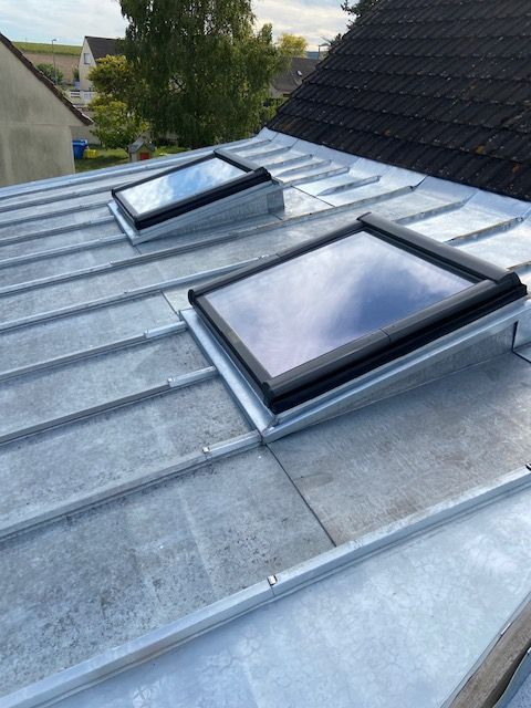 Deux puits de lumière sur un toit en métal. Panneaux métalliques gris, cadres noirs et verre clair.