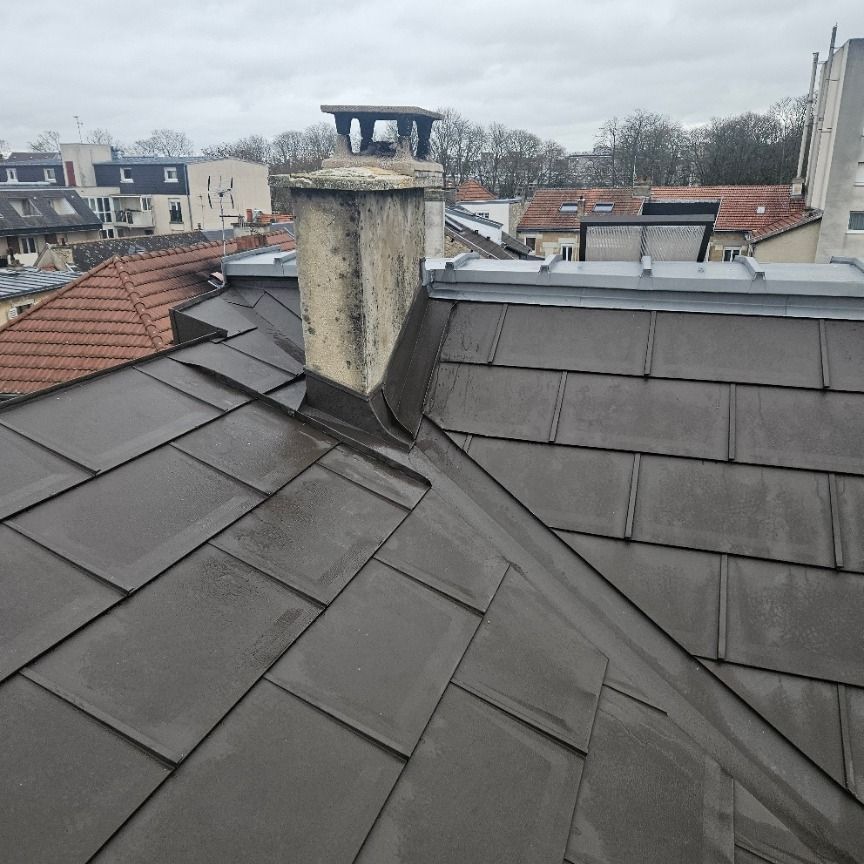 Toit-terrasse aux tuiles brun foncé, cheminée et ciel nuageux en milieu urbain.