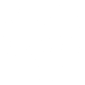ganze pizza icon
