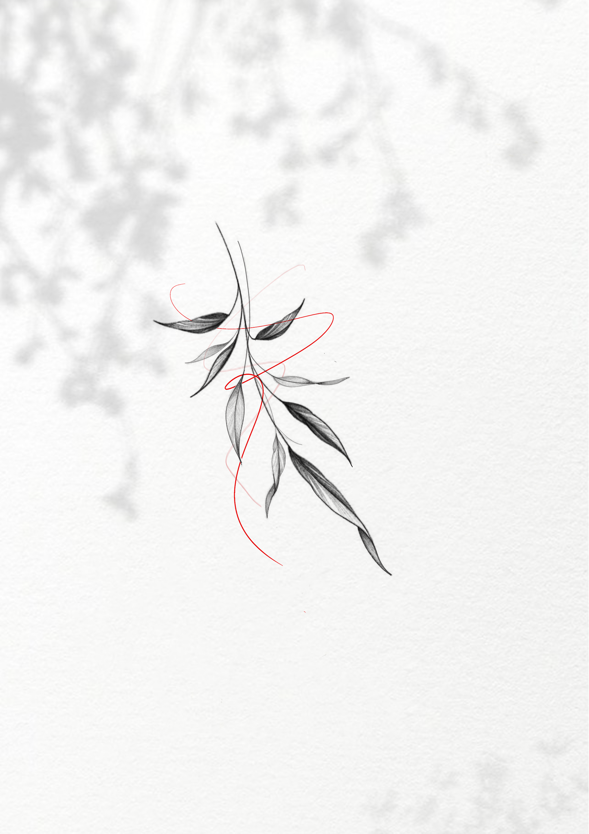 Tattoo Design, Blumendesign, Fineline, Details, Tattooidee, Tattoo Inspo, Design Shop, Shop, Tattoo Studio 