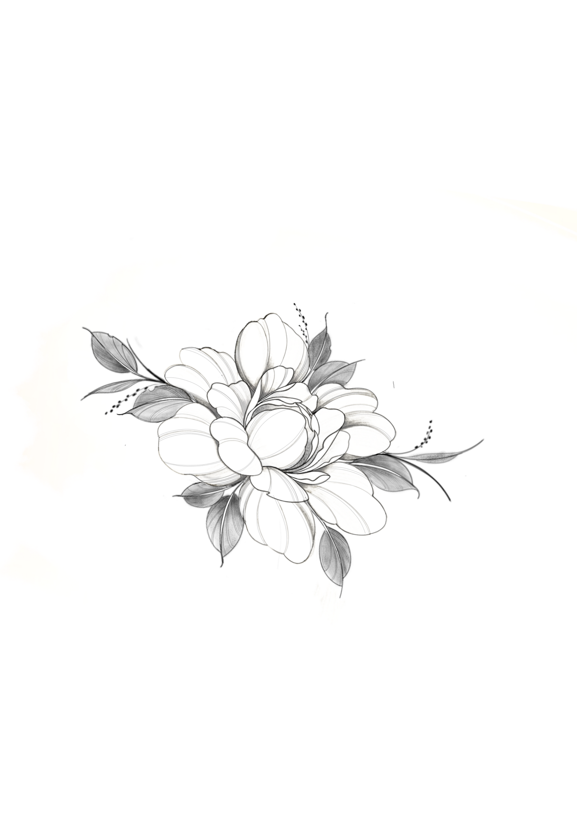 Tattoo Design, Pfingstrose, Fineline, Details, Tattooidee, Tattoo Inspo, Design Shop, Shop, Tattoo Studio