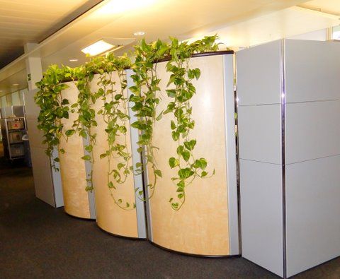 Raumteiler Büro - Hydro Team - Bauma