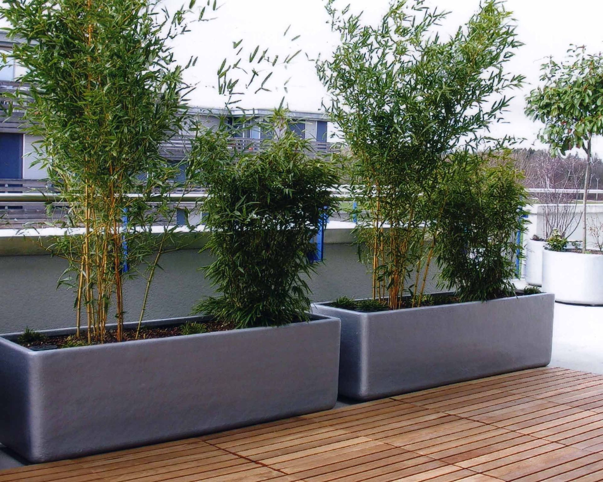 Freiland Hydrosystem - Hydro Team - Bauma