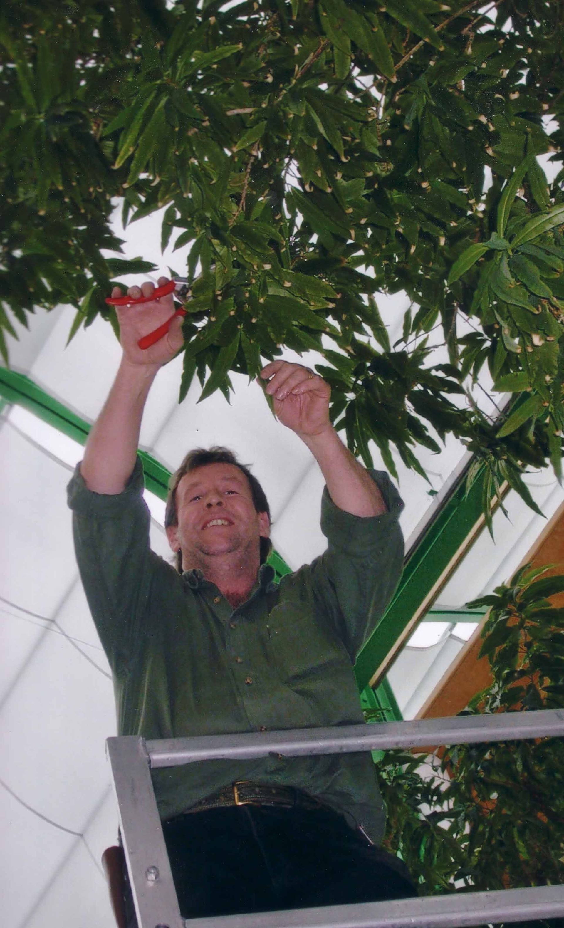 Pflanzenunterhalt - Hydro Team - Bauma