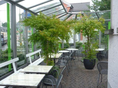 Freilandhydrokulturen - Hydro Team - Bauma