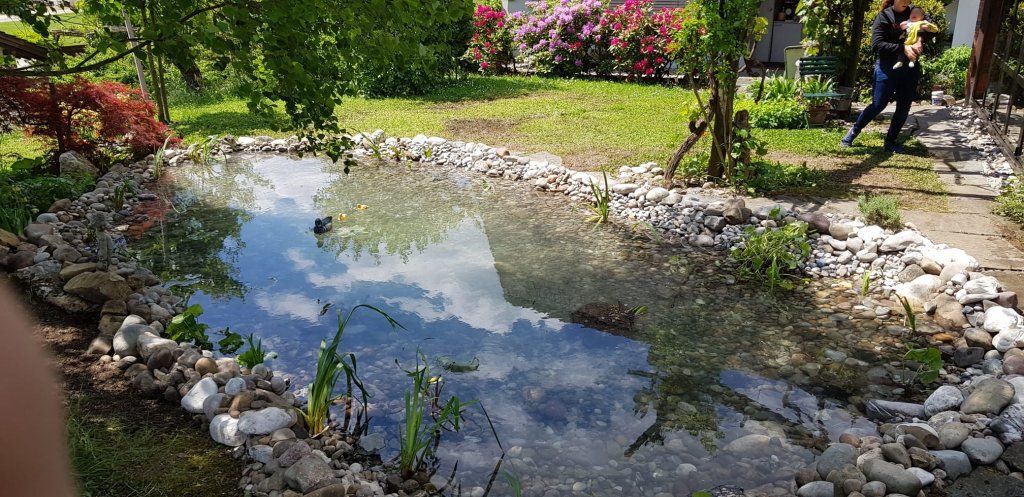 Holderegger Gartenservice