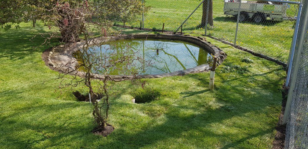 Holderegger Gartenservice