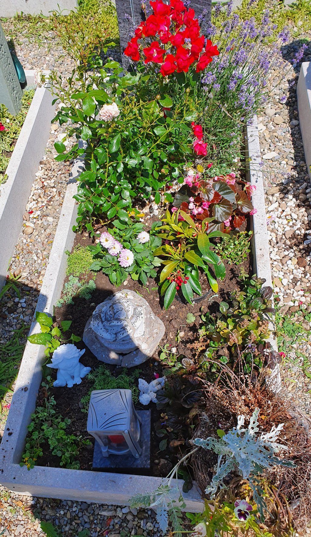 Holderegger Gartenservice