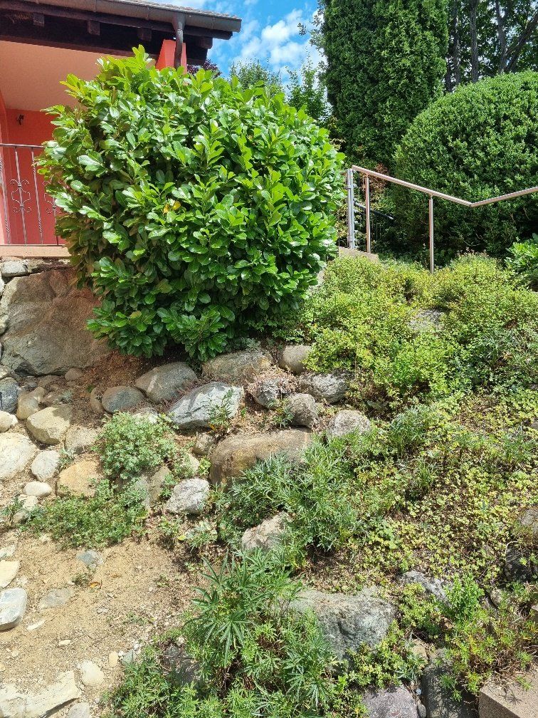 Holderegger Gartenservice