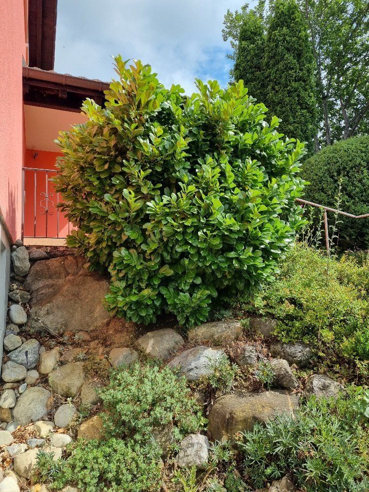 Holderegger Gartenservice