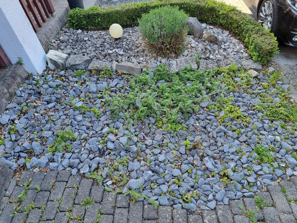 Holderegger Gartenservice