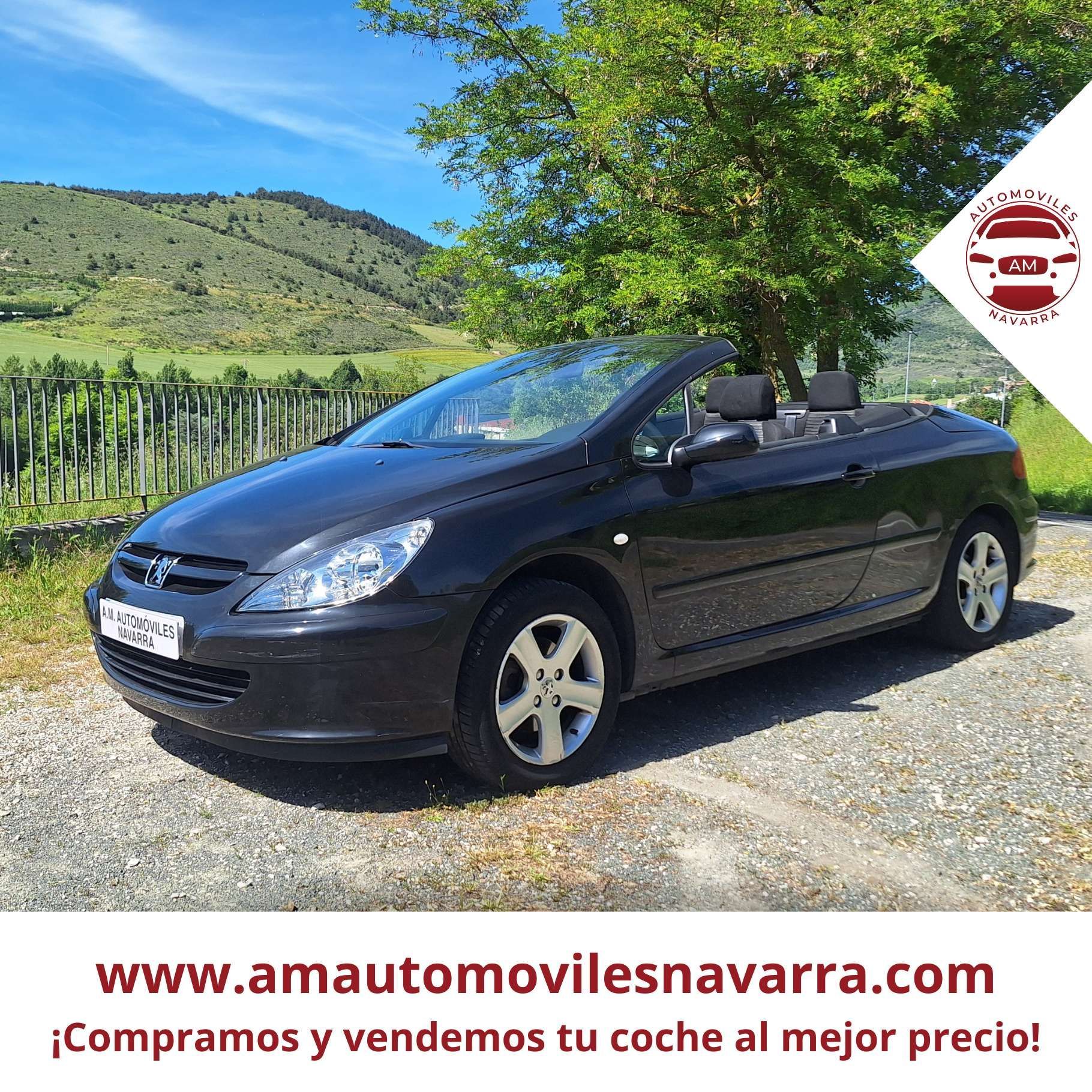 PEUGEOT 307CC 2.0I  2004