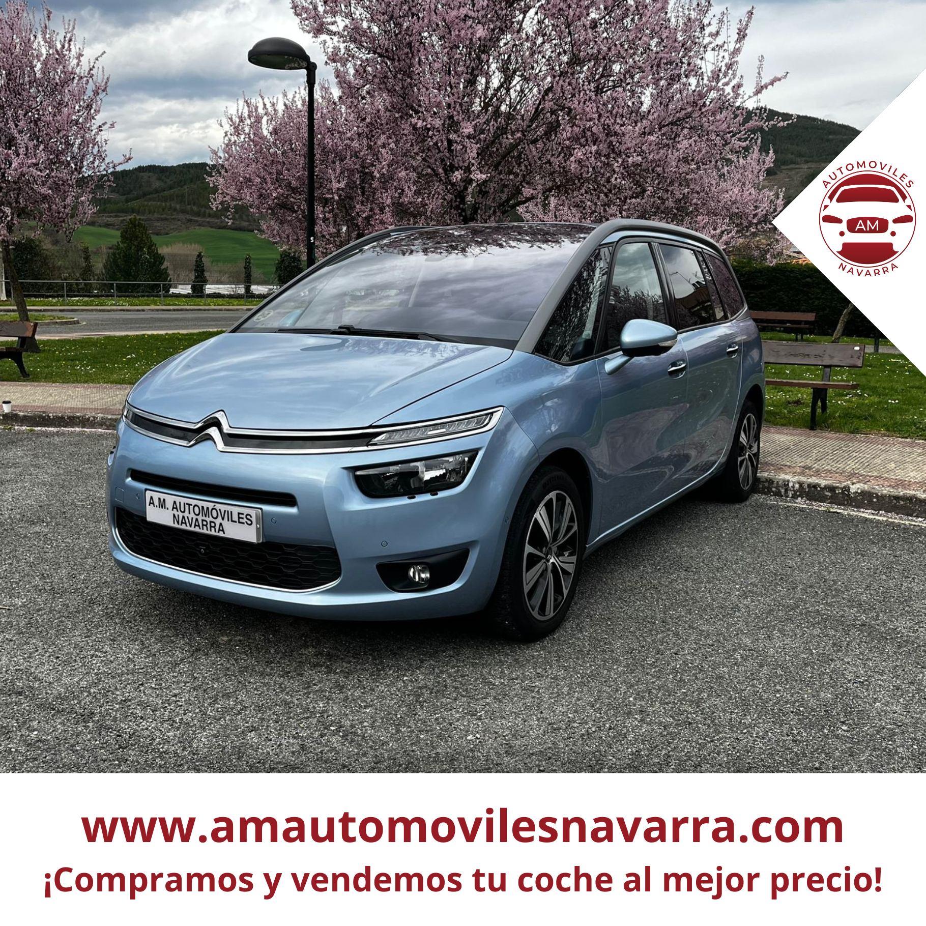 CITROEN C4 PICASSO 1.6HDI 2013
