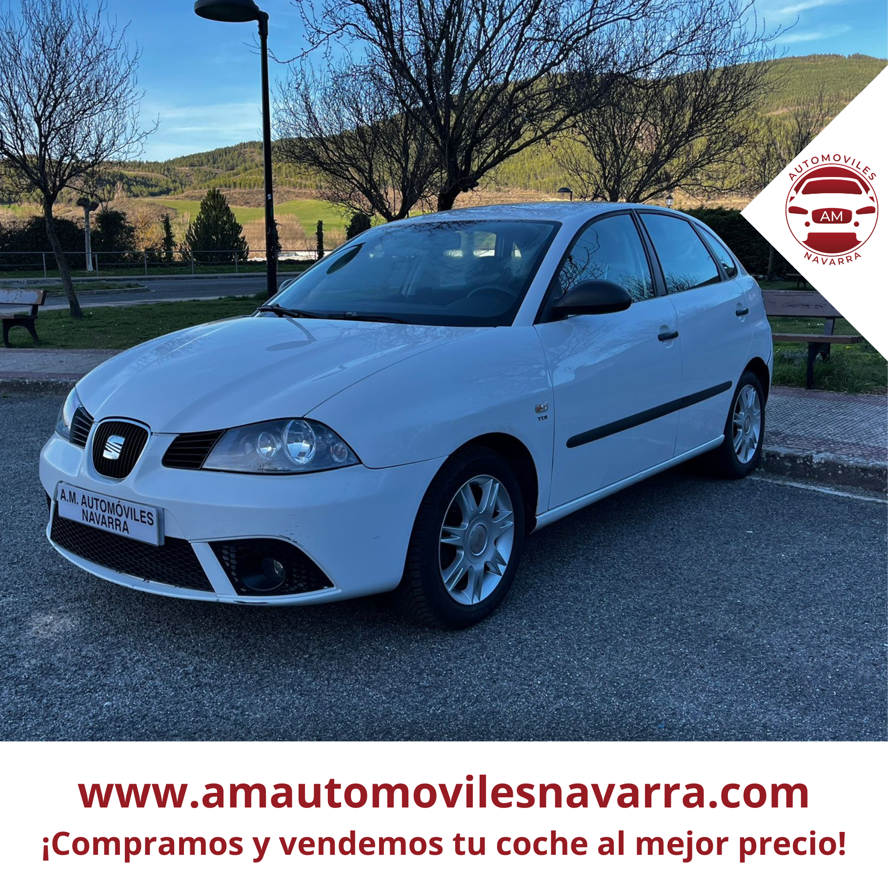 SEAT IBIZA 1.9 TDI