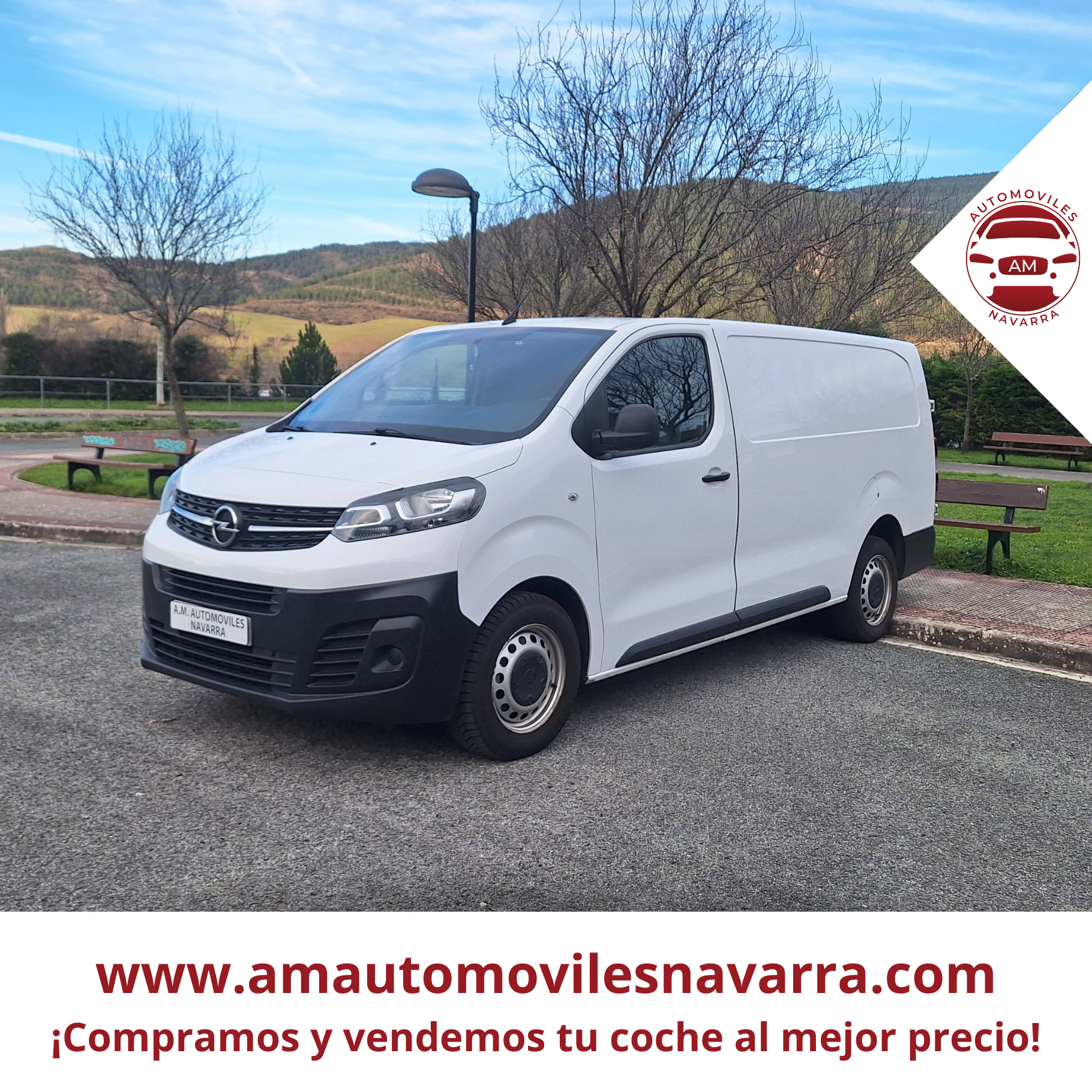 OPEL VIVARO, LEER BIEN LA DESCRIPCIÓN!