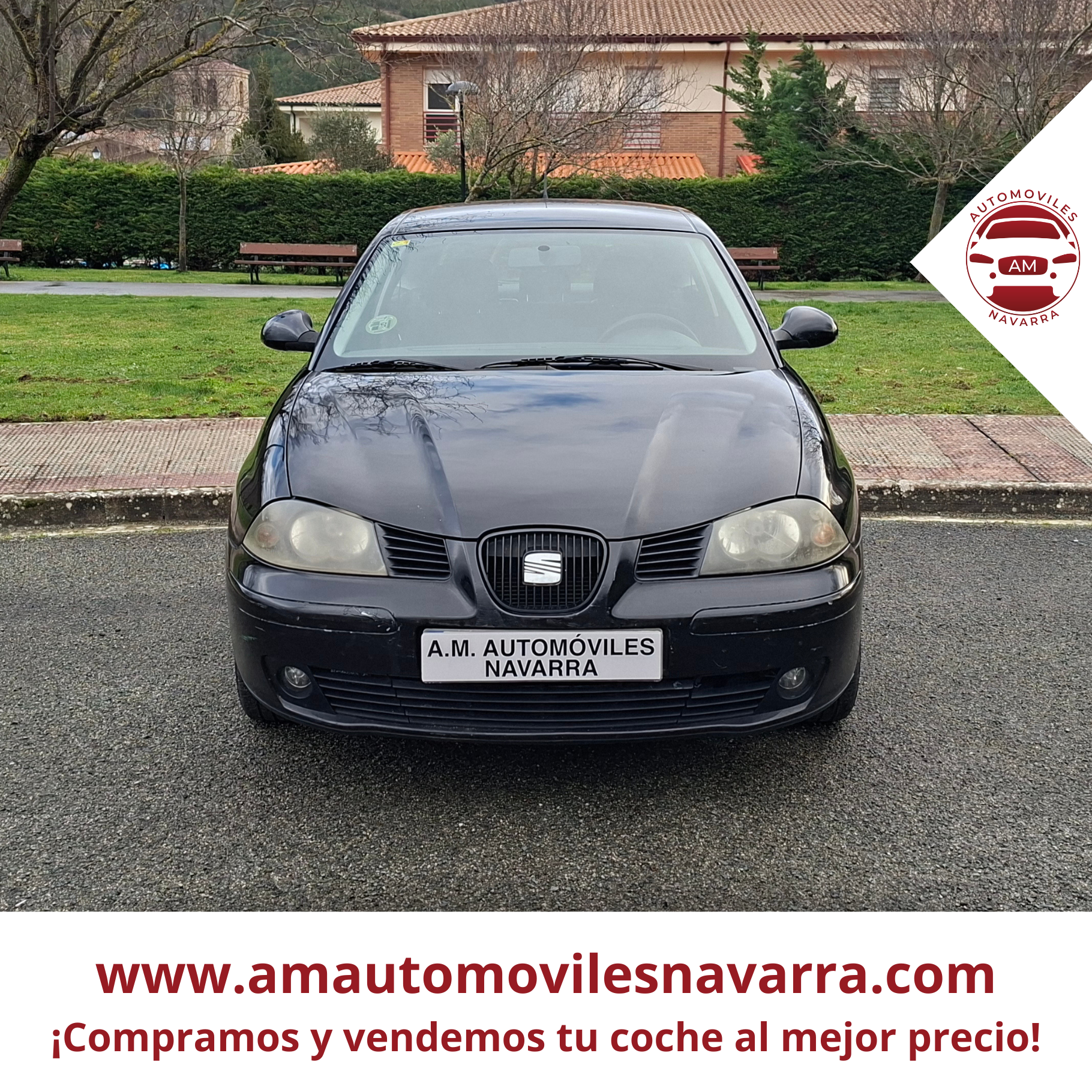 SEAT IBIZA