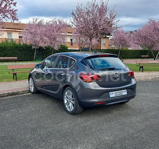 Un coche gris está aparcado en un estacionamiento con flores al fondo.