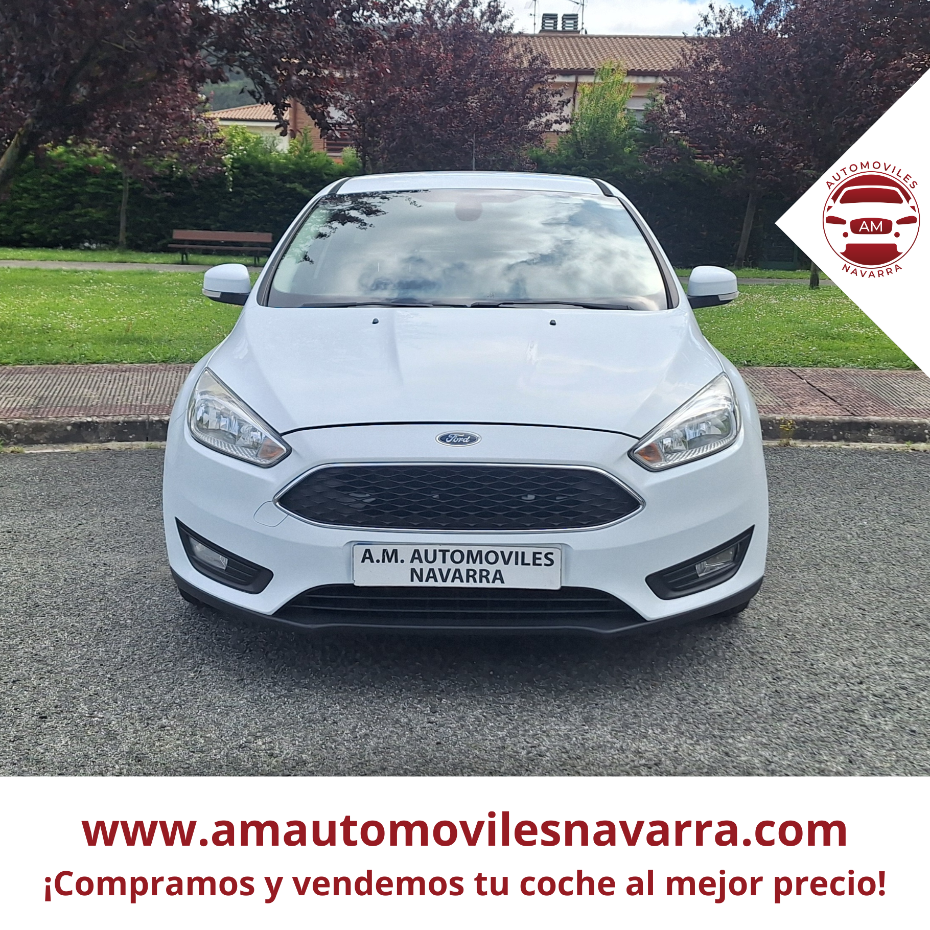 FORD FOCUS 6063