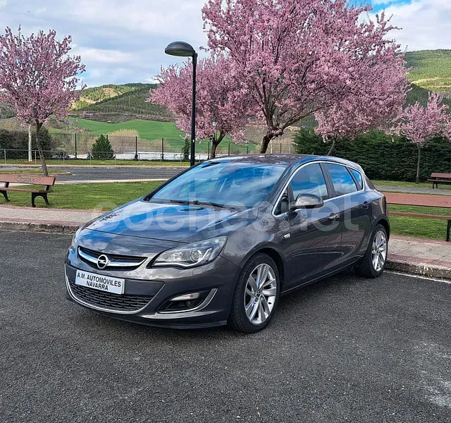 Un coche gris está estacionado en un estacionamiento con flores rosas en el fondo.