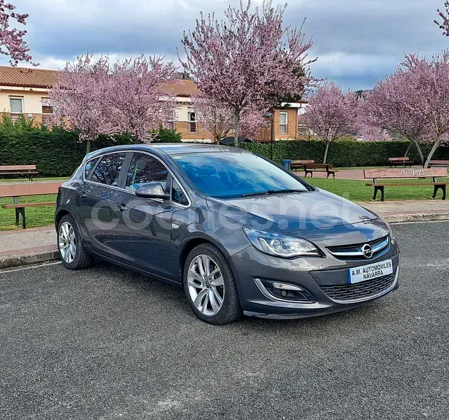 Un coche gris está estacionado en un estacionamiento con flores rosas en el fondo.
