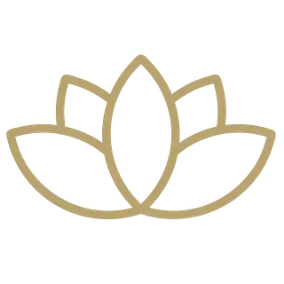 Un dibujo lineal de una flor de loto sobre un fondo blanco.