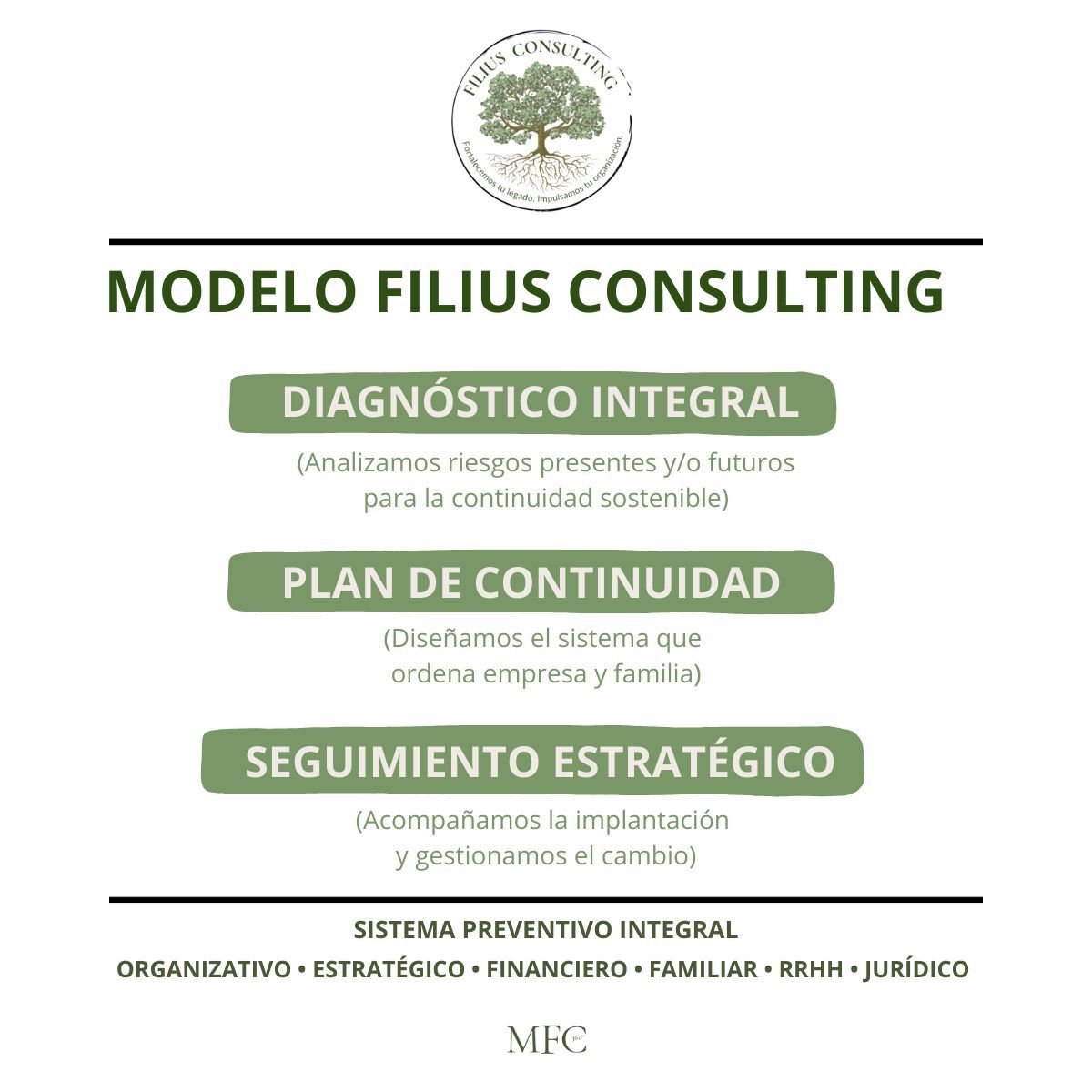Gráfico de marketing para Filius Consulting. Presenta un diseño en verde y blanco con texto que describe los servicios: diagnóstico, plan de continuidad y seguimiento estratégico.