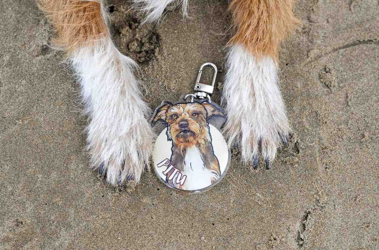 Patas de perro sobre arena con un llavero con el retrato de un perro.