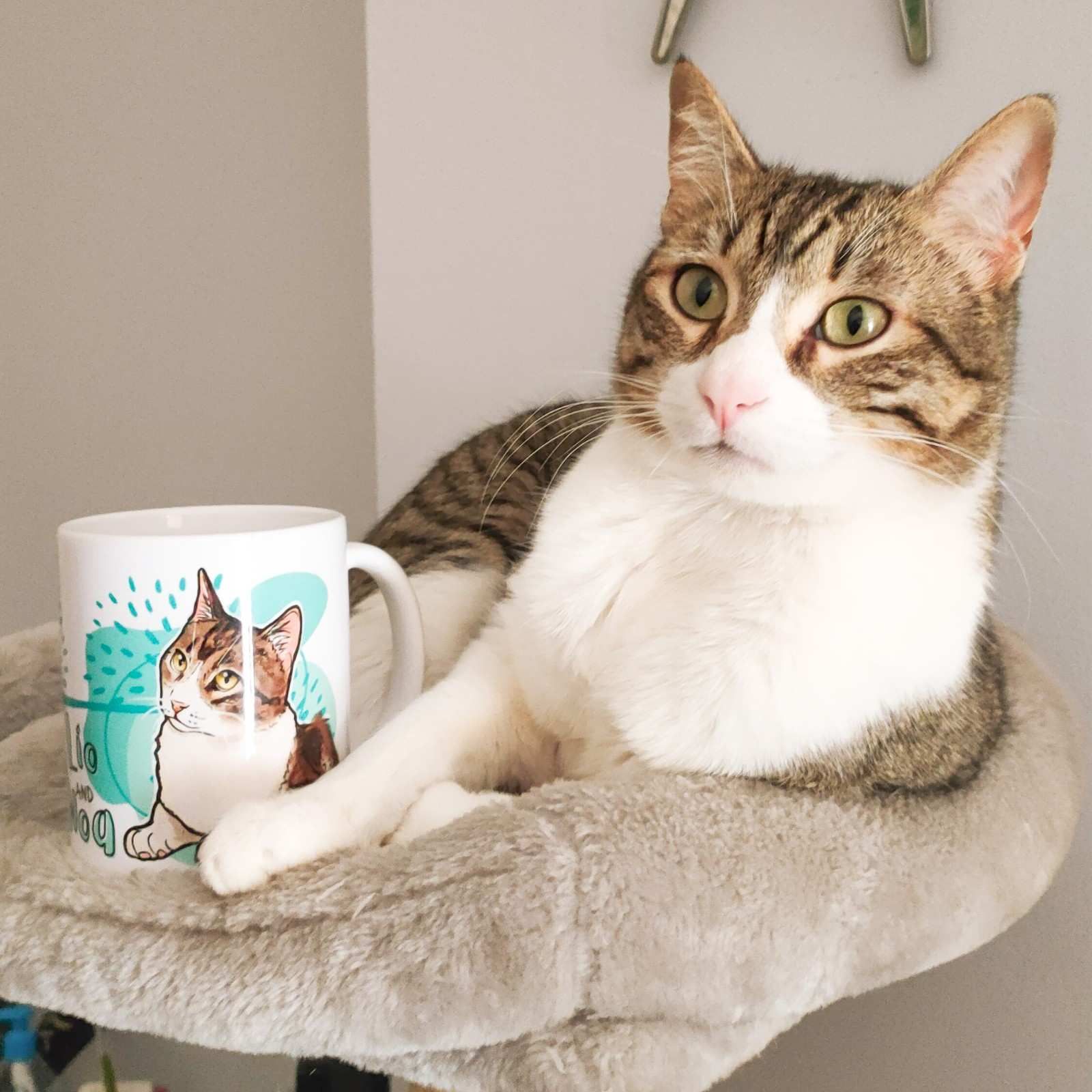 Gato con pelaje atigrado y blanco, descansando en una cama para gatos, al lado de una taza con la imagen de un gato.