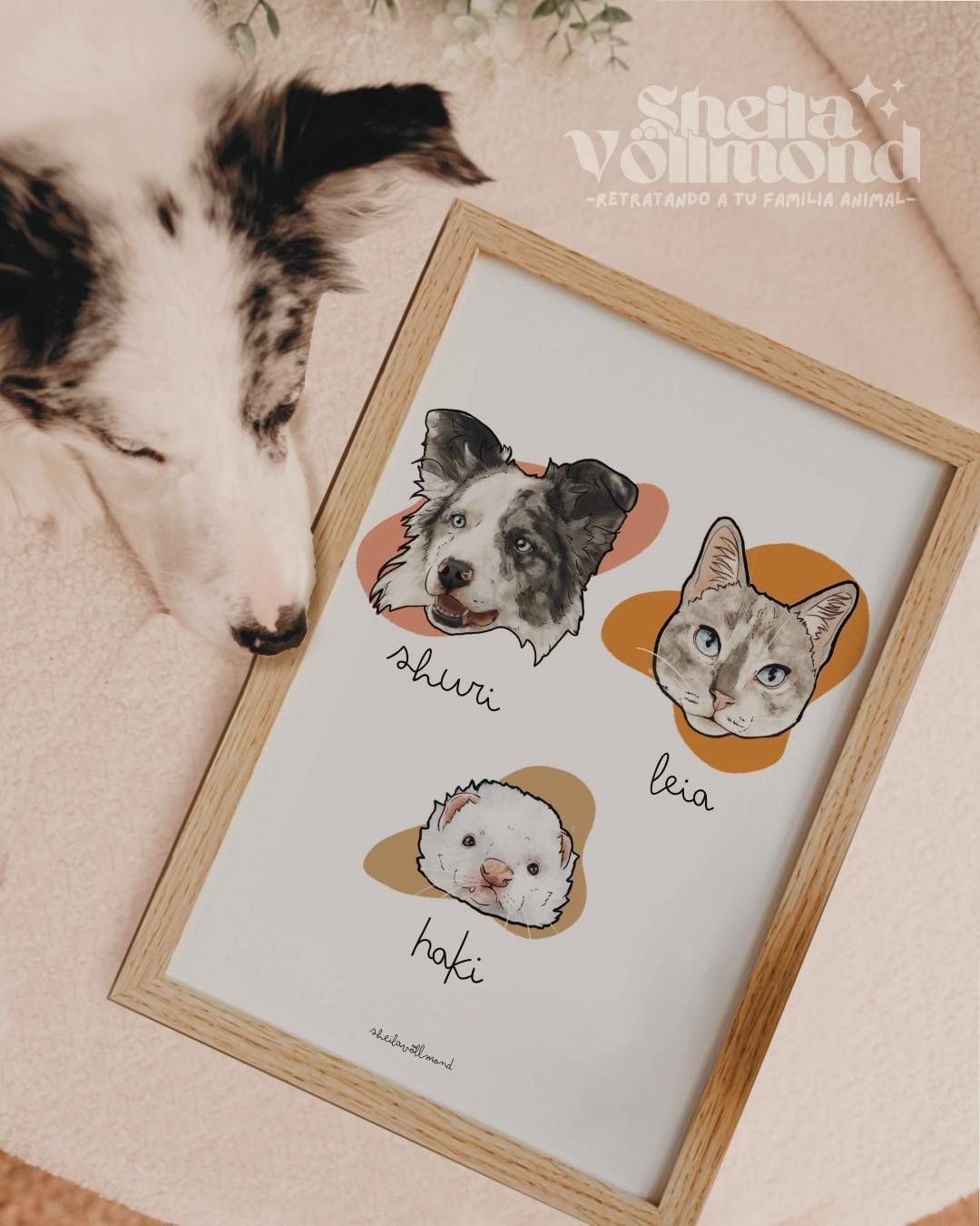 Retratos de perros y mascotas enmarcados en una silla; los retratos incluyen un perro, un gato y un hámster.