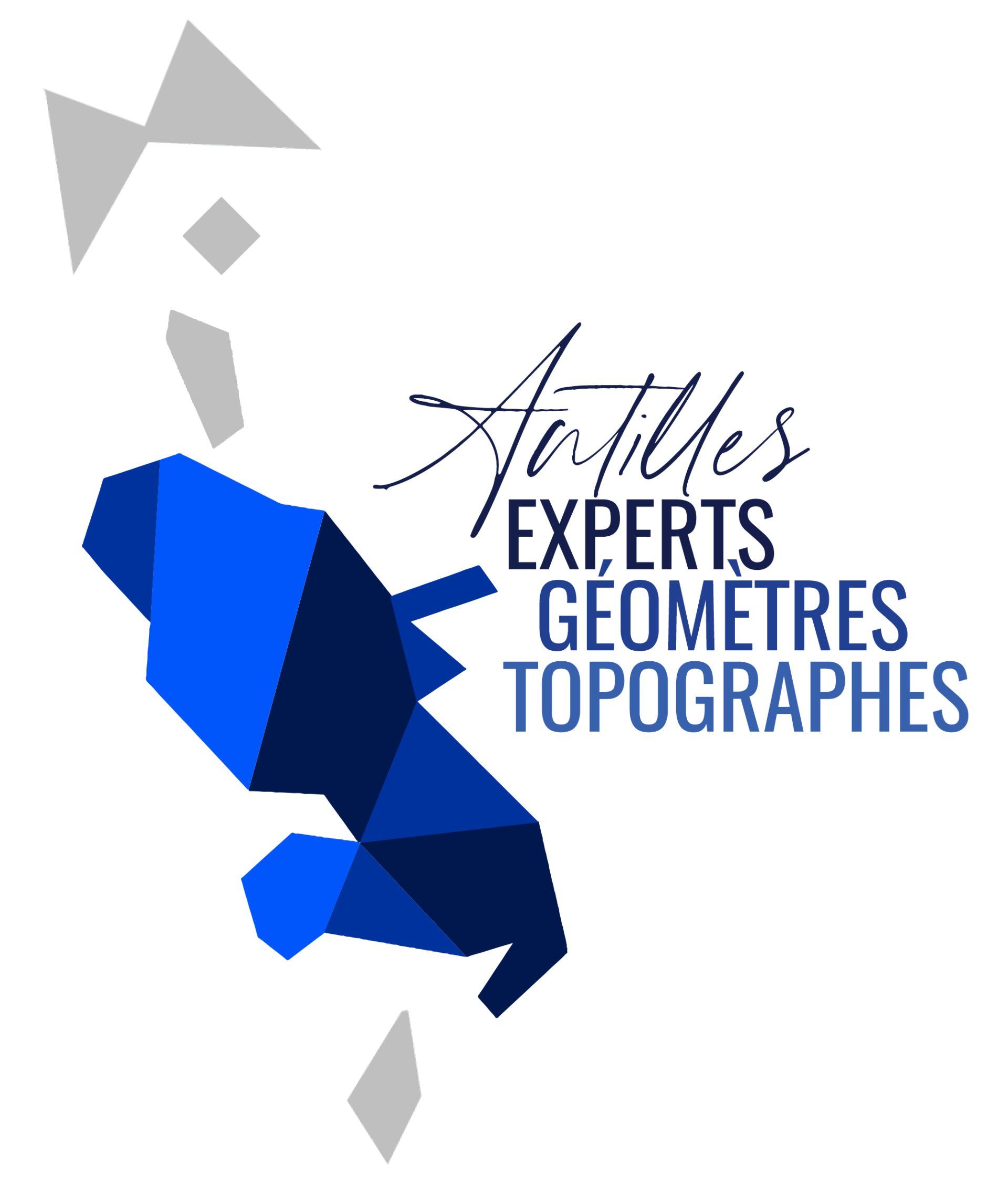 Logo Antilles Experts Géomètres Topographes