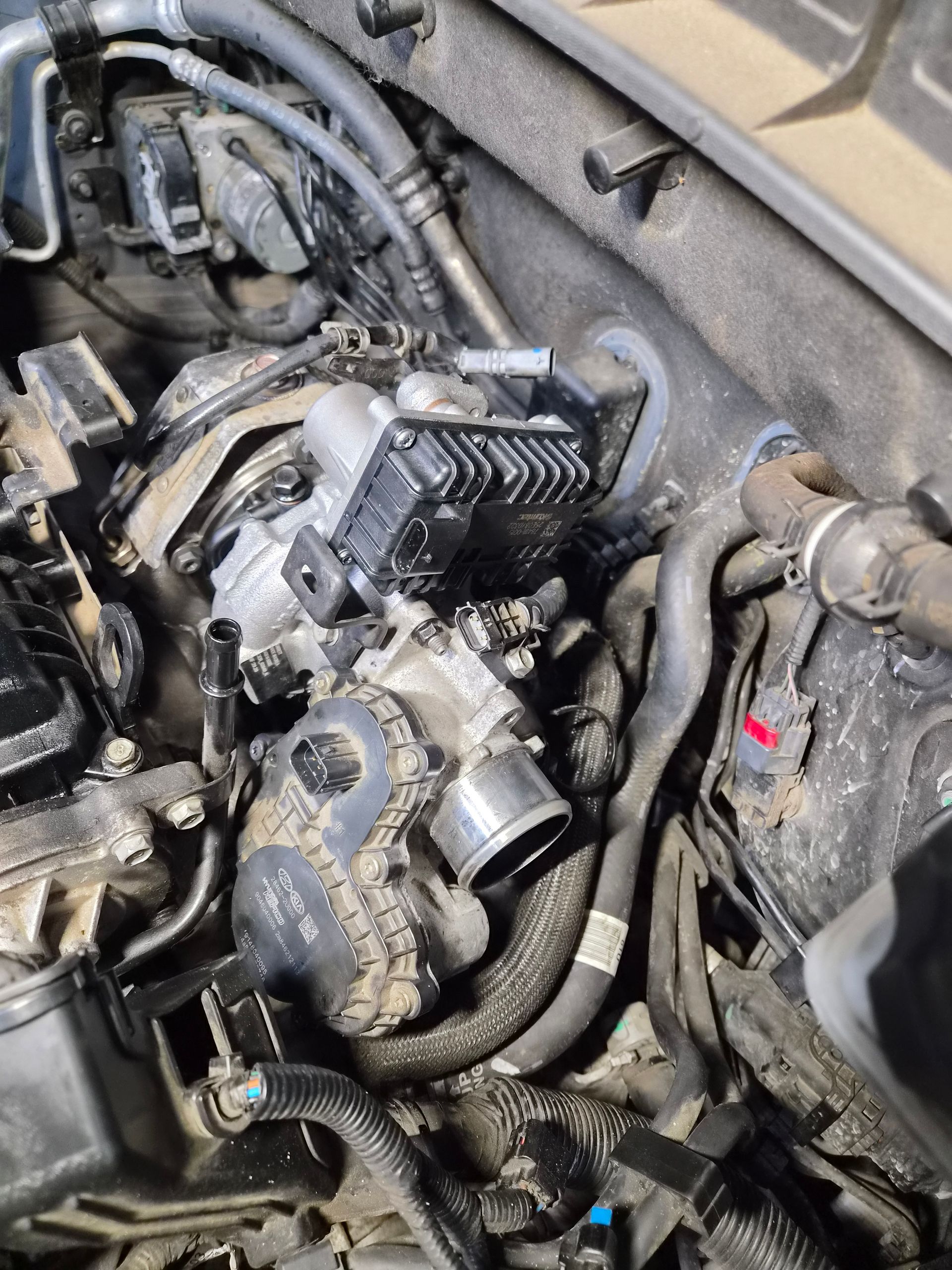 Gros plan sur un compartiment moteur de voiture, avec des tuyaux, des câbles et des composants mécaniques apparents.