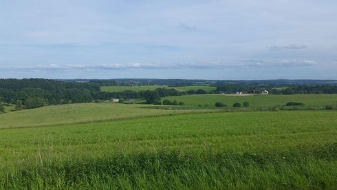 Eine große grüne Wiese mit einem blauen Himmel im Hintergrund.