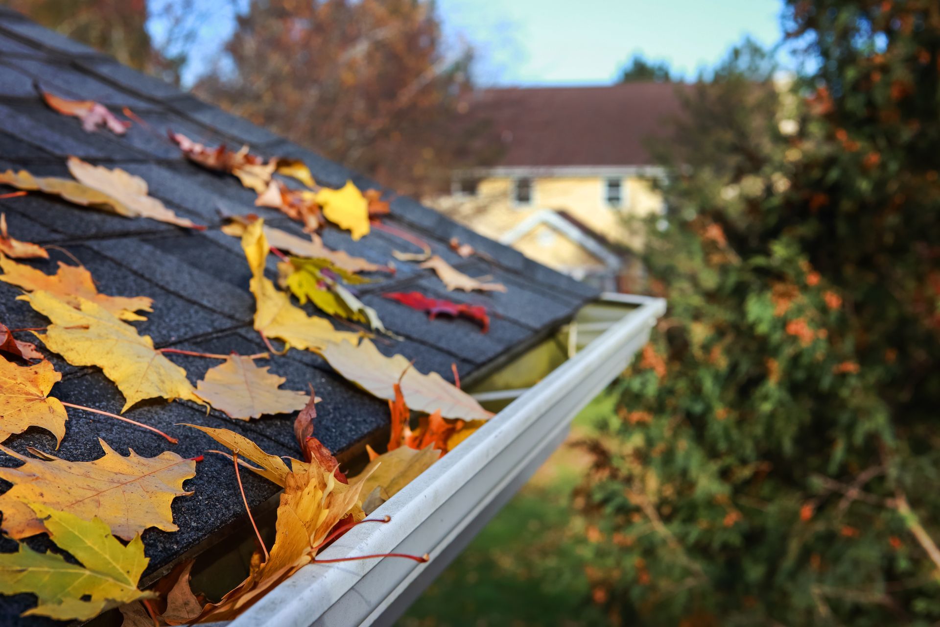Des feuilles sur la toiture d'une maison